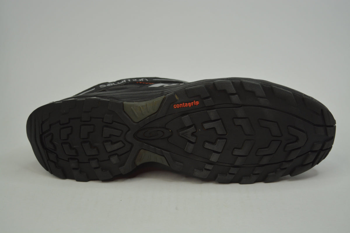 Salomon trail blazer 2